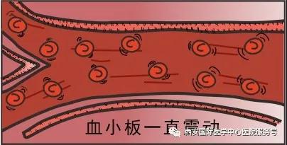血小板是正常值的三倍？專家提醒小心血栓和出血！