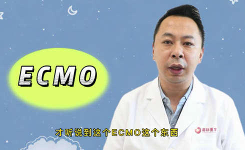 什么是ECMO？